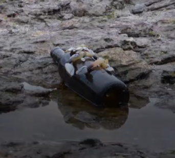 Image Carnival Liberty