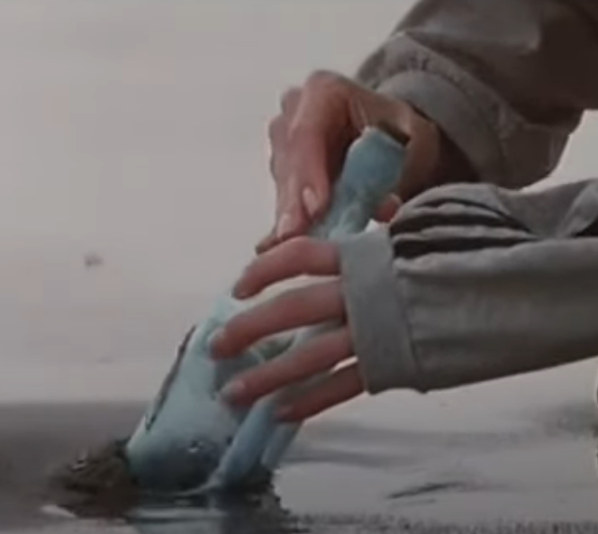 Image Une bouteille à la mer
